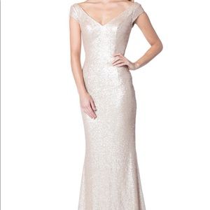Bari Jay Champagne Bridesmaid/Evening/Prom Gown
